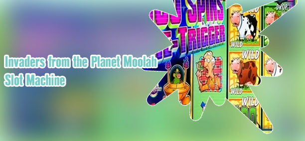 Planet moolah slot machine